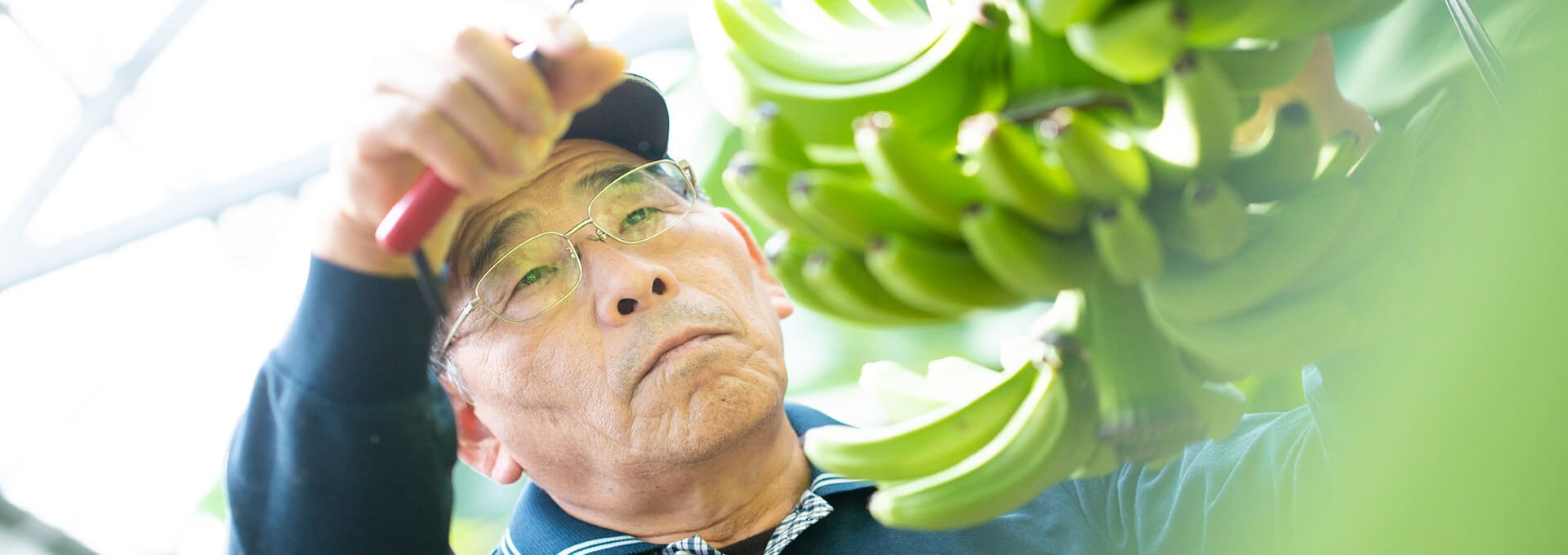 宮崎長友農園